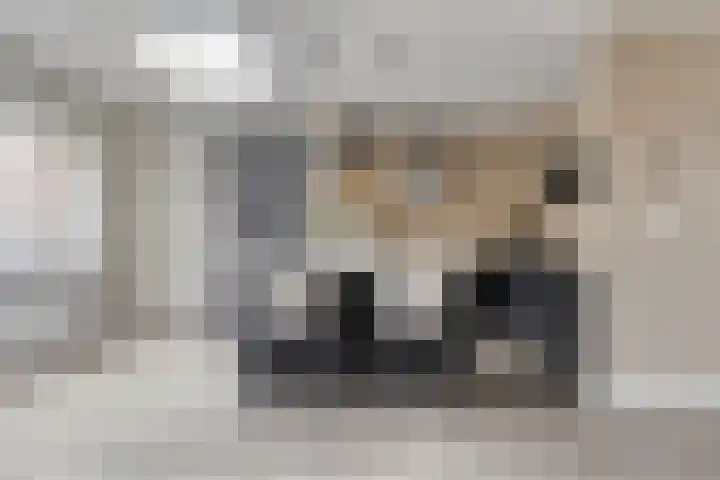Pelgrimstraat 7 Vrouwenpolder thumbnail 6