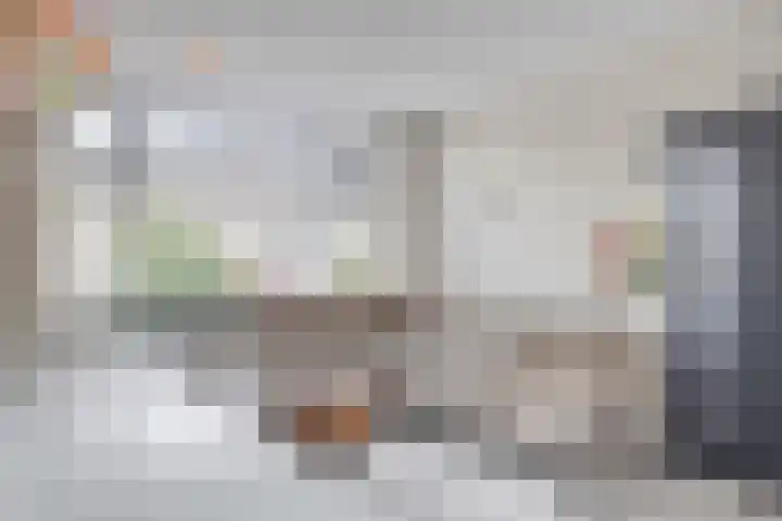 Pelgrimstraat 7 Vrouwenpolder thumbnail 8