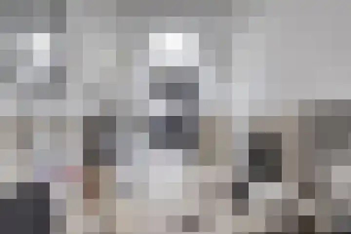 Pelgrimstraat 7 Vrouwenpolder thumbnail 9