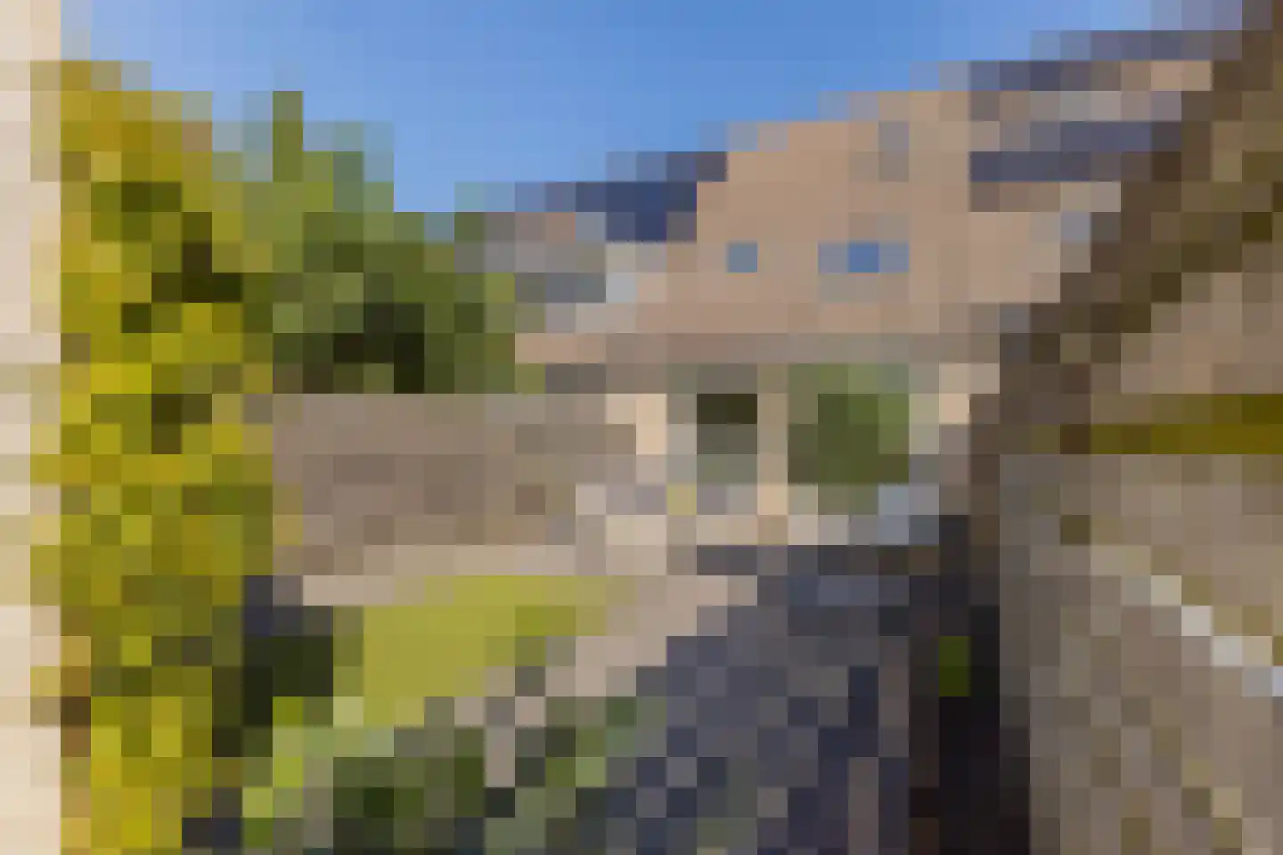 Pelgrimsweg 10 IJsselstein thumbnail 28