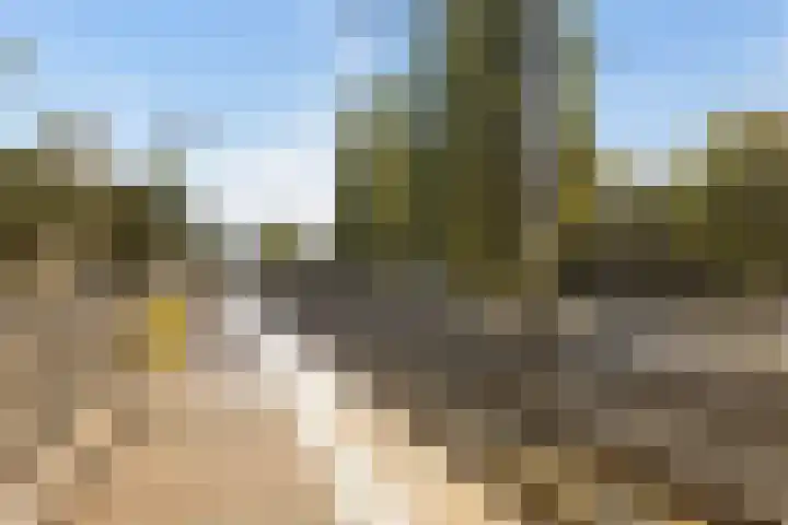 Pelgrimsweg 100 IJsselstein thumbnail 51