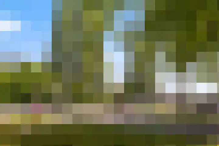 Pelgrimsweg 100 IJsselstein thumbnail 52