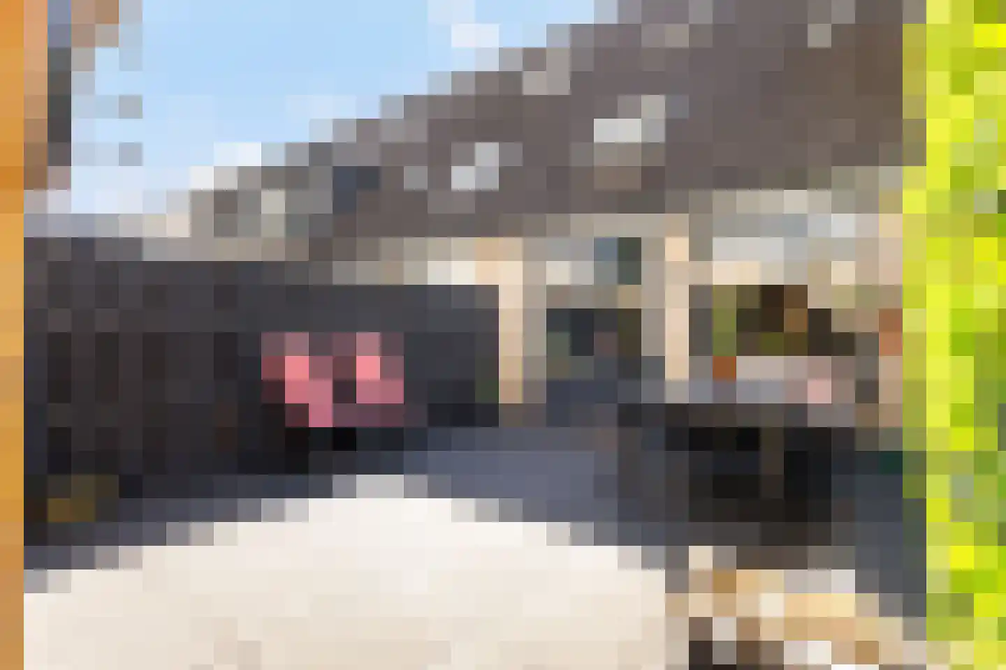 Pelgrimsweg 40 IJsselstein thumbnail 22
