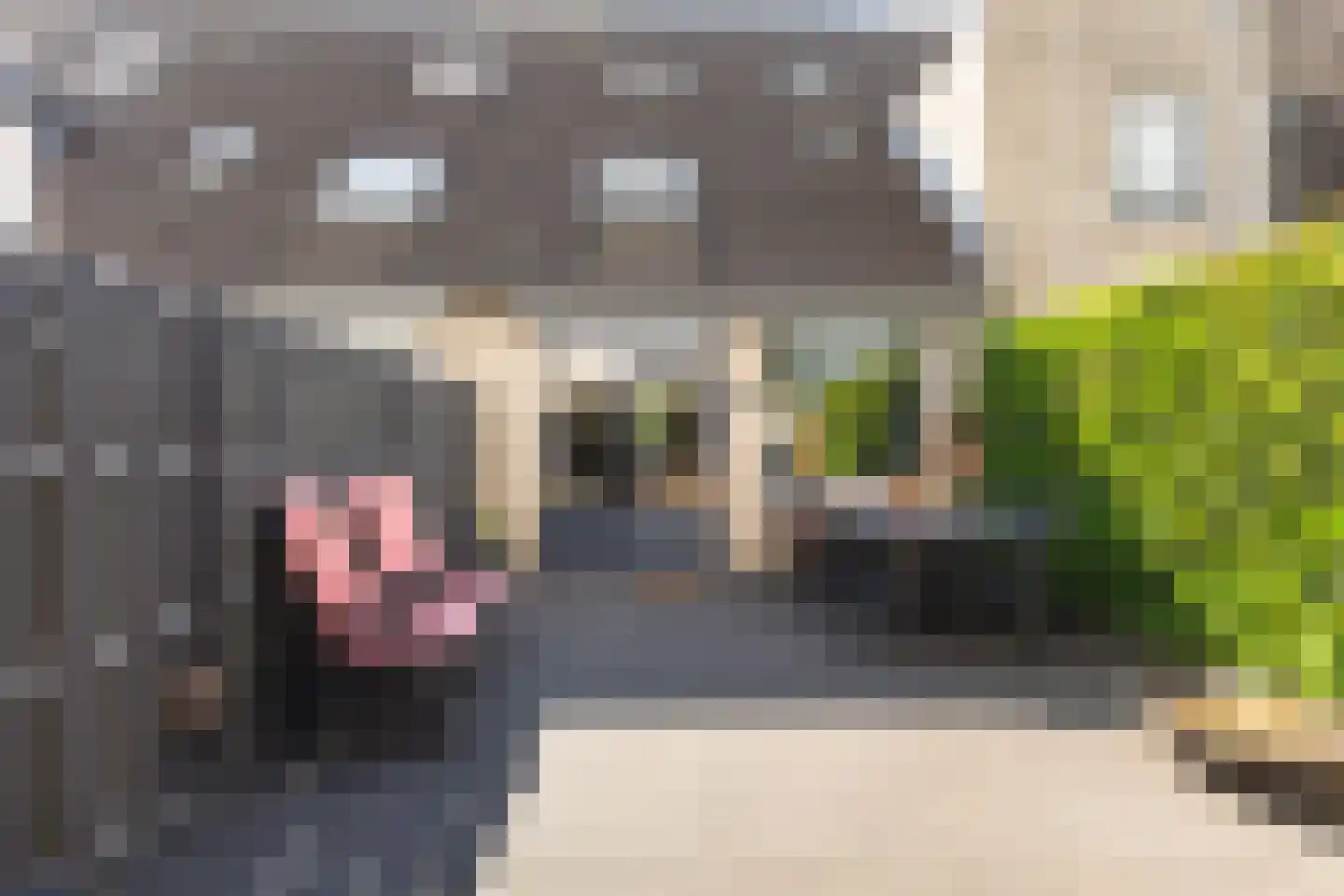 Pelgrimsweg 40 IJsselstein thumbnail 23