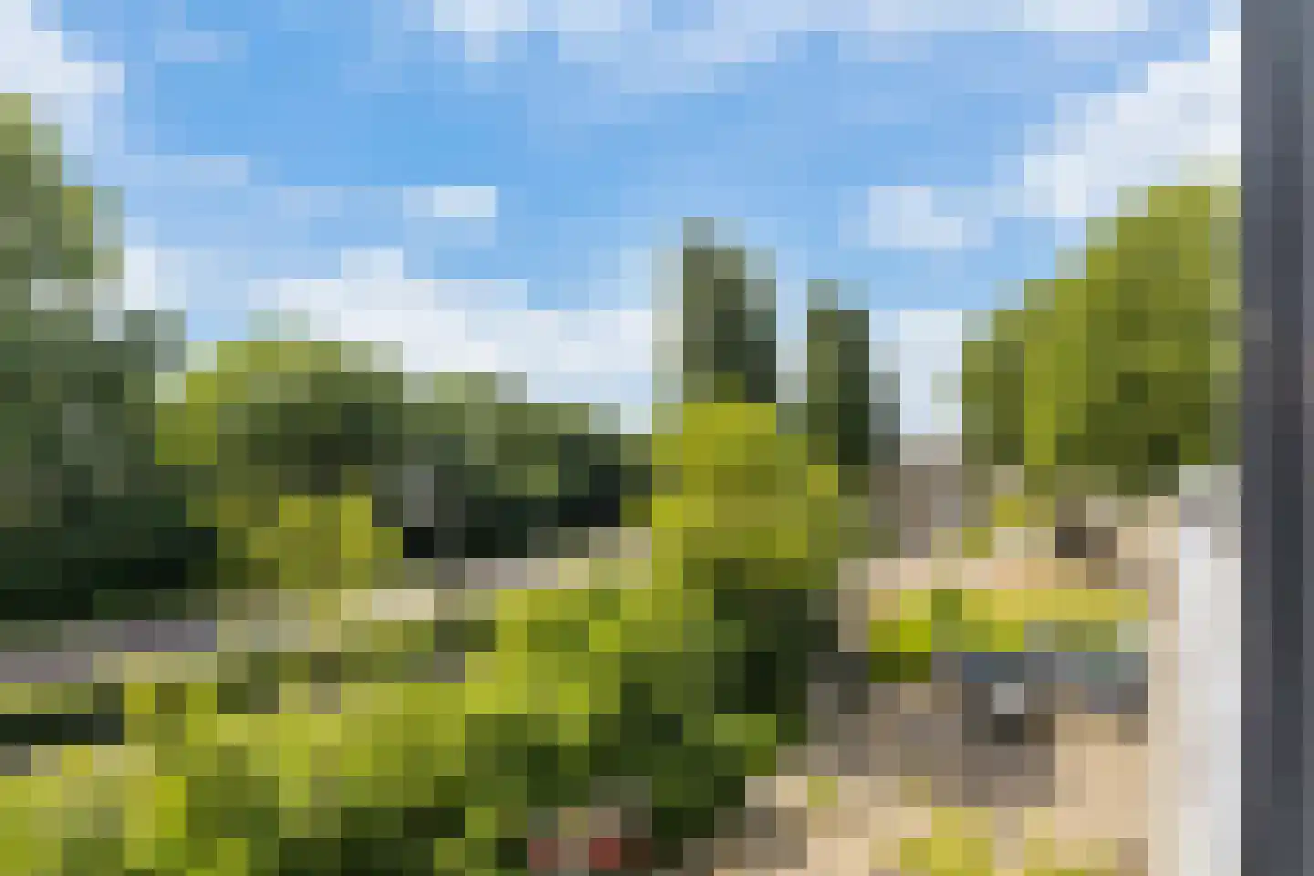 Pelgrimsweg 40 IJsselstein thumbnail 26