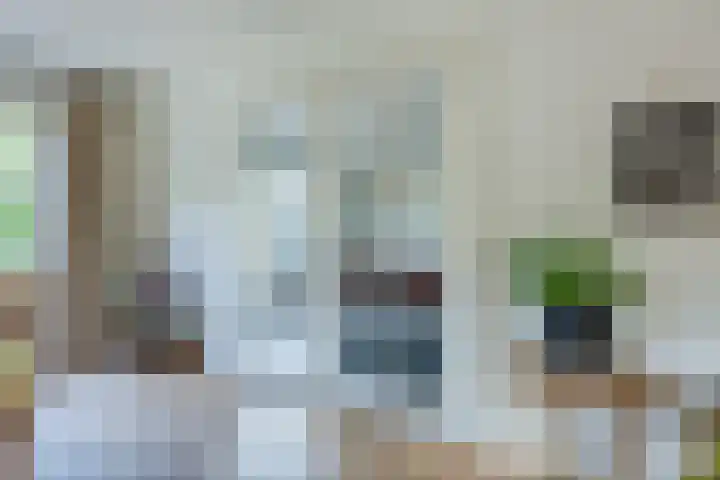 Pelgrimsweg 41 Handel thumbnail 14