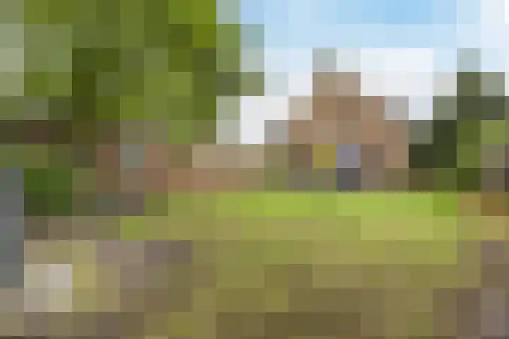 Pelgrimsweg 41 Handel thumbnail 46