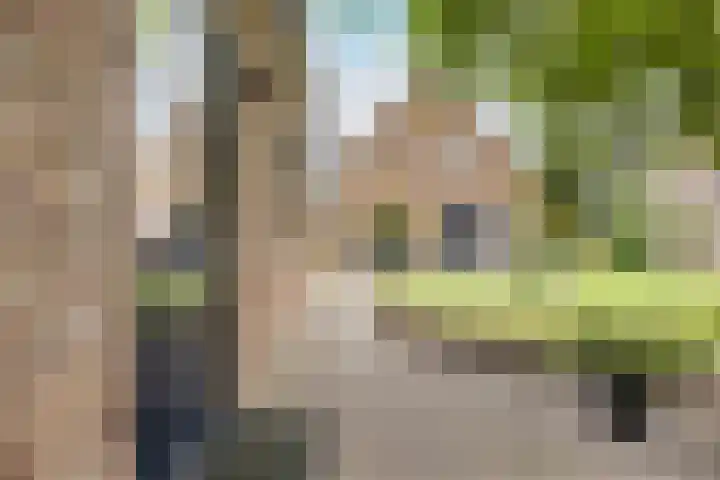 Pelgrimsweg 41 Handel thumbnail 47