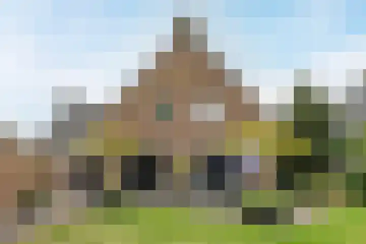 Pelgrimsweg 41 Handel thumbnail 48