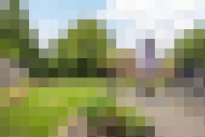 Pelgrimsweg 41 Handel thumbnail 50