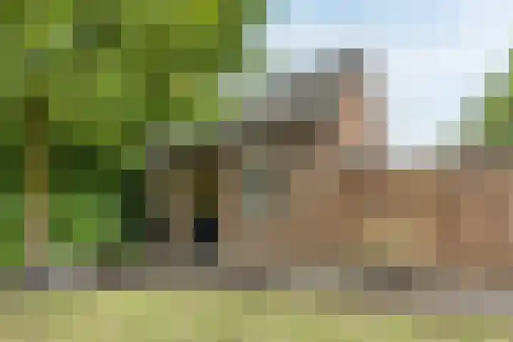 Pelgrimsweg 41 Handel thumbnail 51