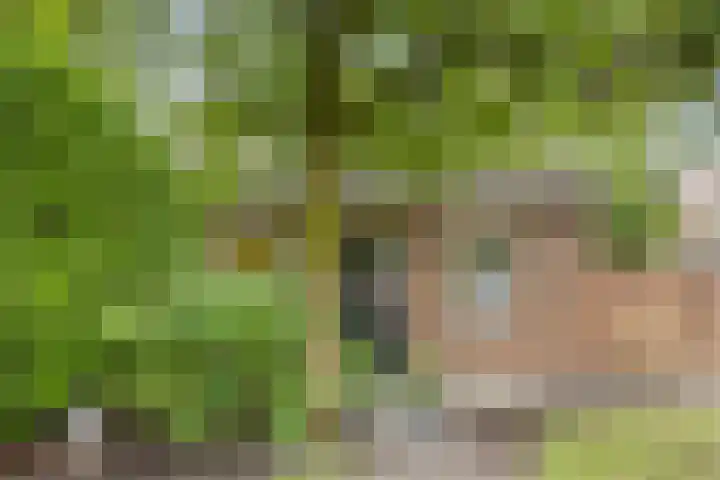 Pelgrimsweg 41 Handel thumbnail 52