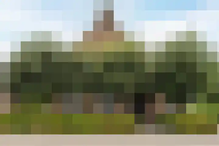 Pelgrimsweg 41 Handel thumbnail 61
