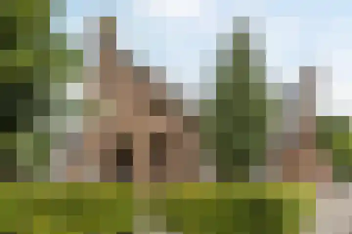 Pelgrimsweg 41 Handel thumbnail 62