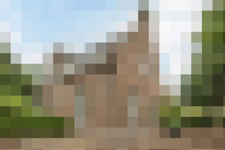 Pelgrimsweg 41 Handel thumbnail 63