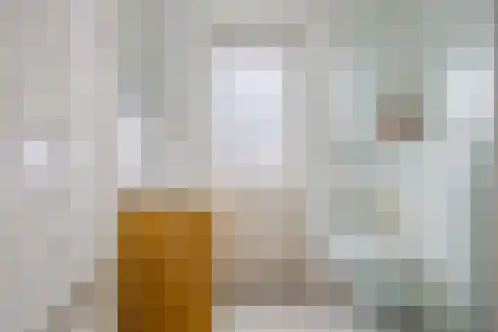 Pelgrimsweg 47 Tilburg thumbnail 20
