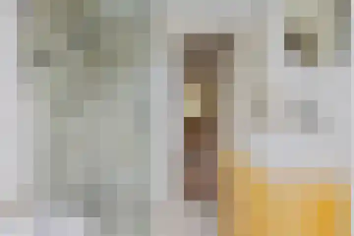 Pelgrimsweg 47 Tilburg thumbnail 22