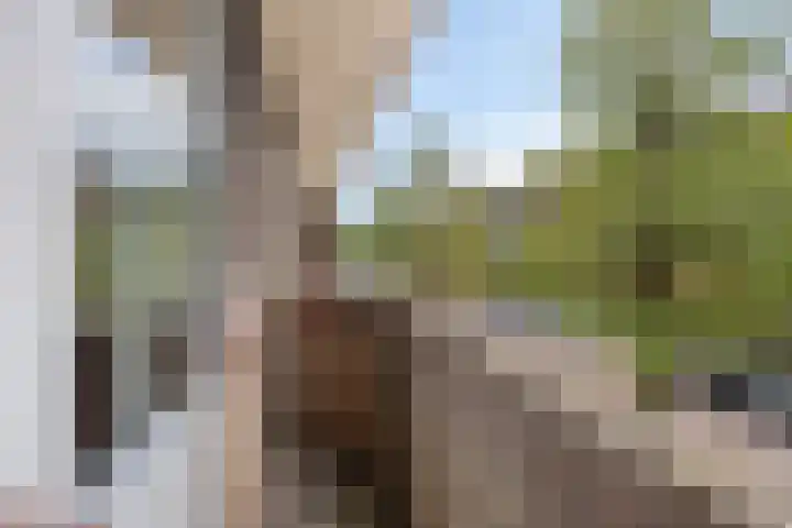 Pelgrimsweg 47 Tilburg thumbnail 25