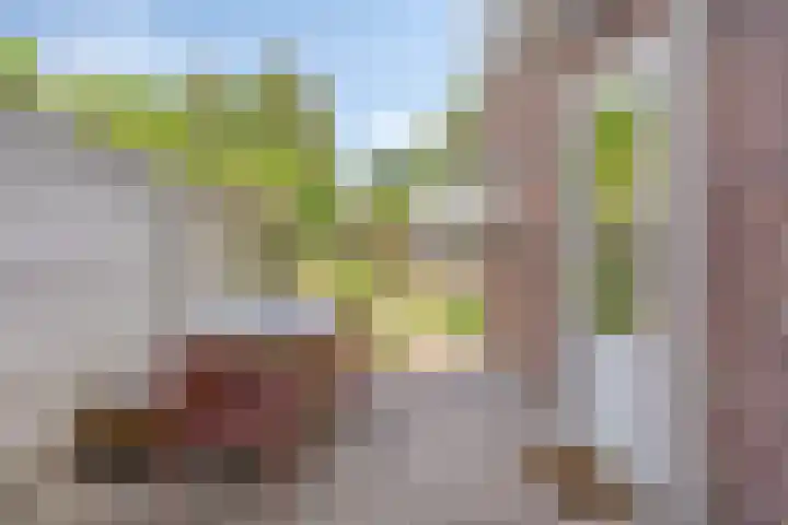 Pelgrimsweg 47 Tilburg thumbnail 34
