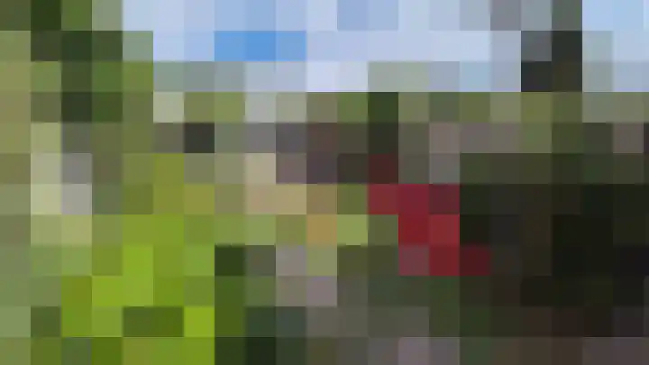 Pelgrimsweg 47 Tilburg thumbnail 36