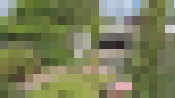 Pelgrimsweg 47 Tilburg thumbnail 37
