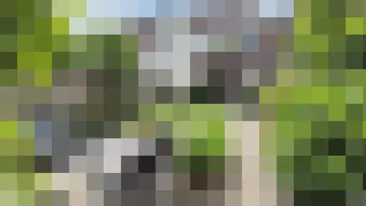 Pelgrimsweg 47 Tilburg thumbnail 38