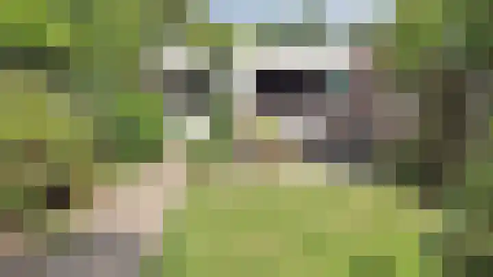 Pelgrimsweg 47 Tilburg thumbnail 39