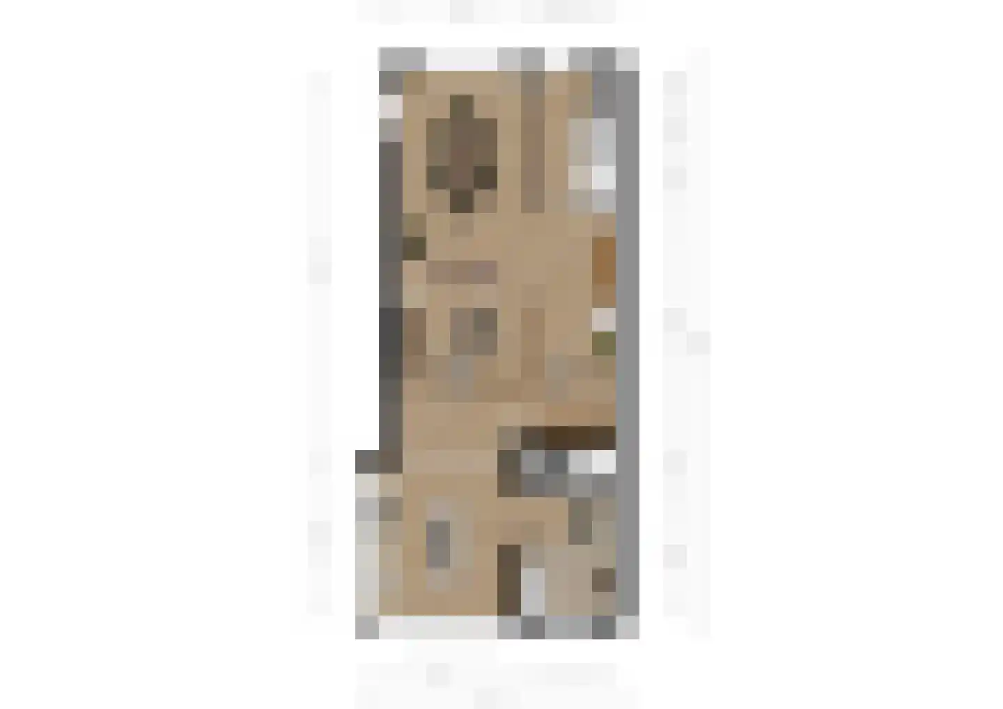Pelgrimsweg 53 Brunssum thumbnail 34