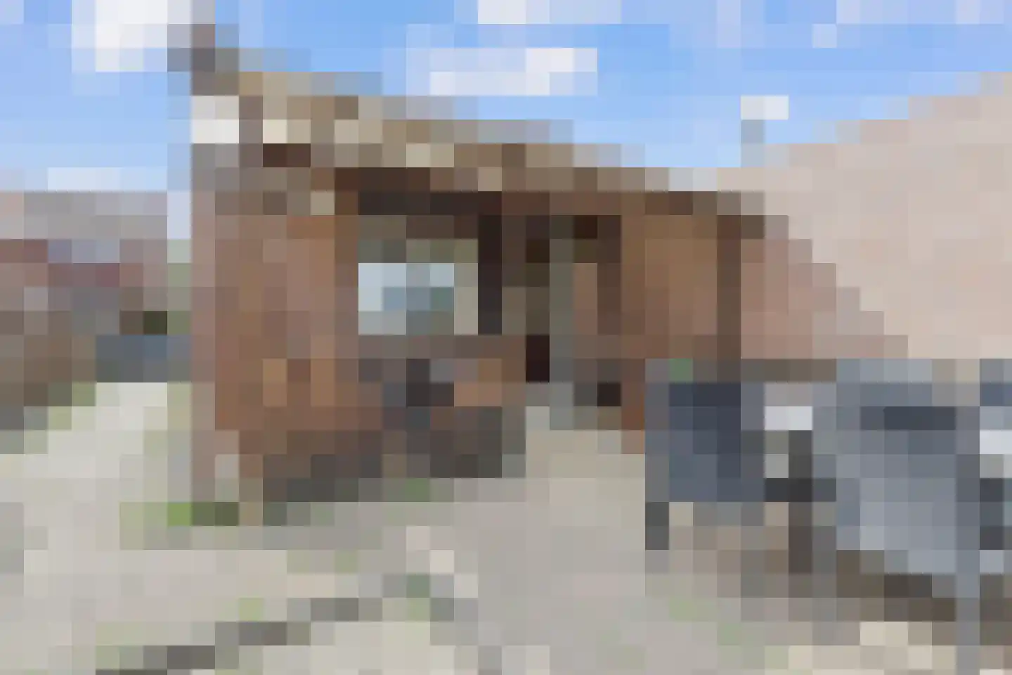 Pelgrimsweg 7 Brunssum thumbnail 31