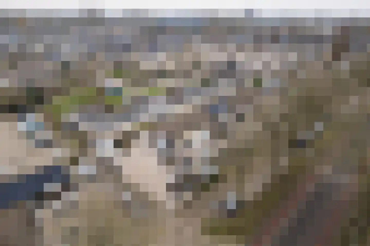 Pelgrimsweg 98 IJsselstein thumbnail 30