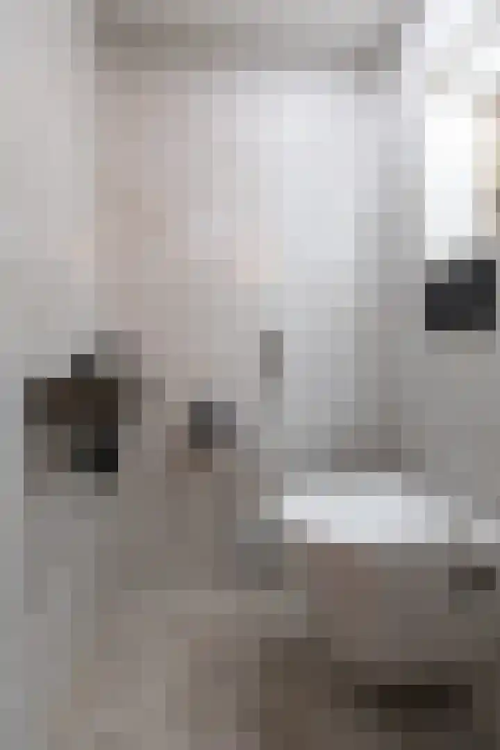 Pelgromstraat 7 Zevenaar thumbnail 11