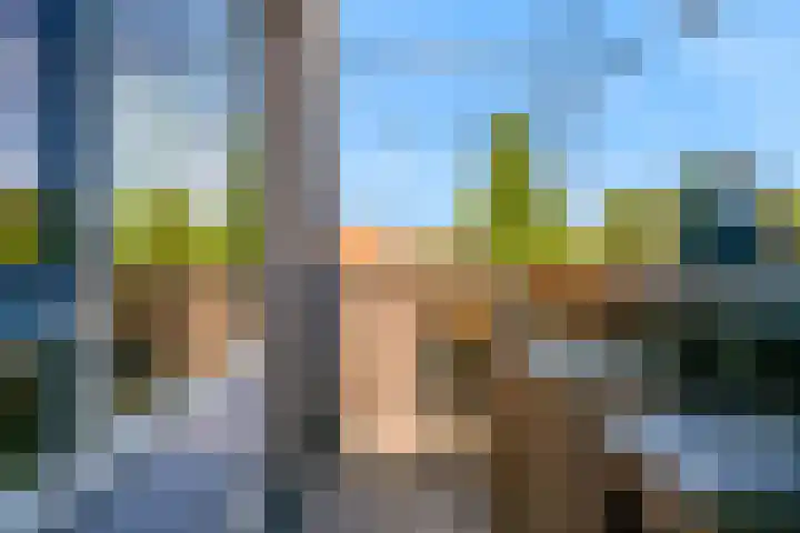 Pelikaan 11 Nieuwegein thumbnail 11