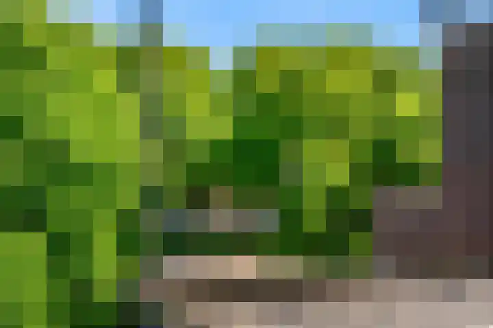 Pelikaan 11 Nieuwegein thumbnail 13