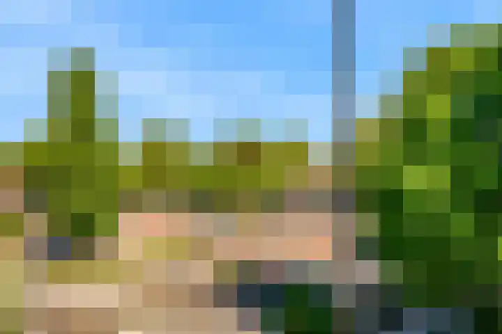 Pelikaan 11 Nieuwegein thumbnail 15