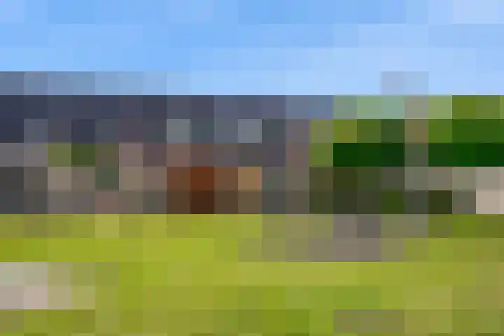 Pelikaan 11 Nieuwegein thumbnail 27