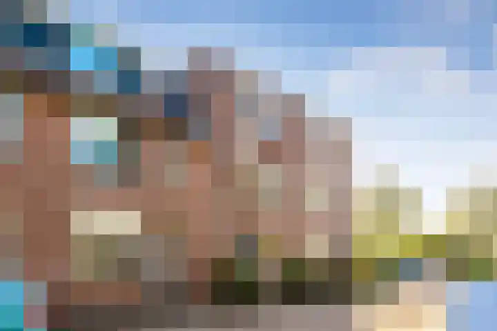Pelikaan 35 Nieuwegein foto 3