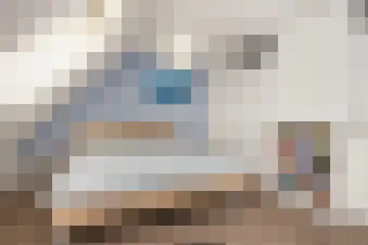 Pelikaan 35 Nieuwegein thumbnail 31