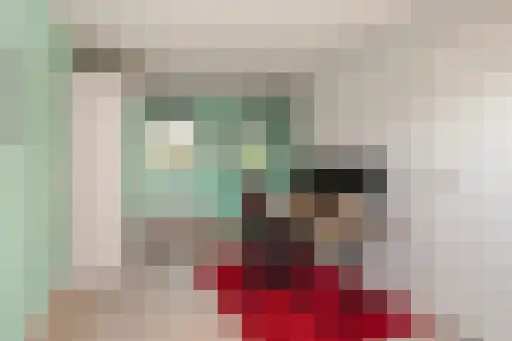 Pelikaan 35 Nieuwegein thumbnail 34
