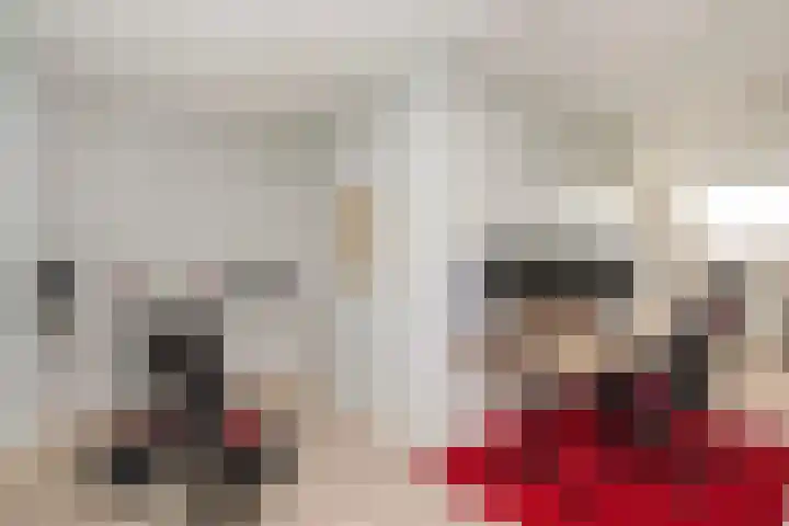Pelikaan 35 Nieuwegein thumbnail 37