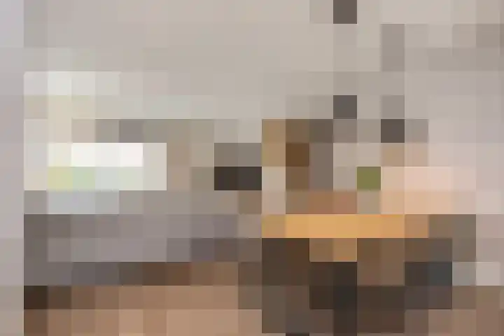 Pelikaan 35 Nieuwegein thumbnail 8