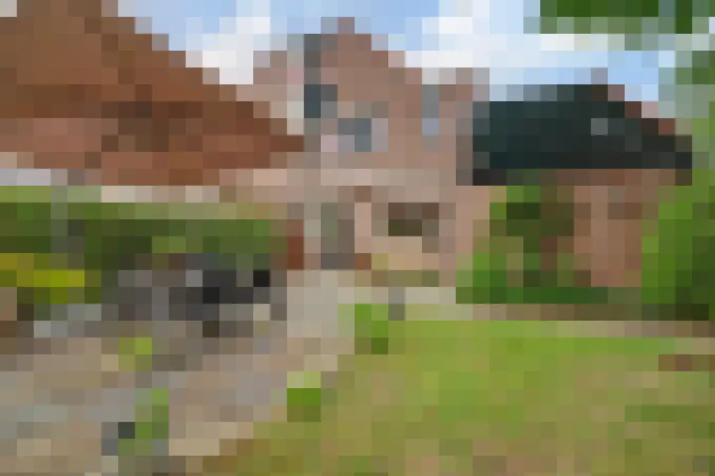 Pelikaan 4 Nieuwegein thumbnail 15