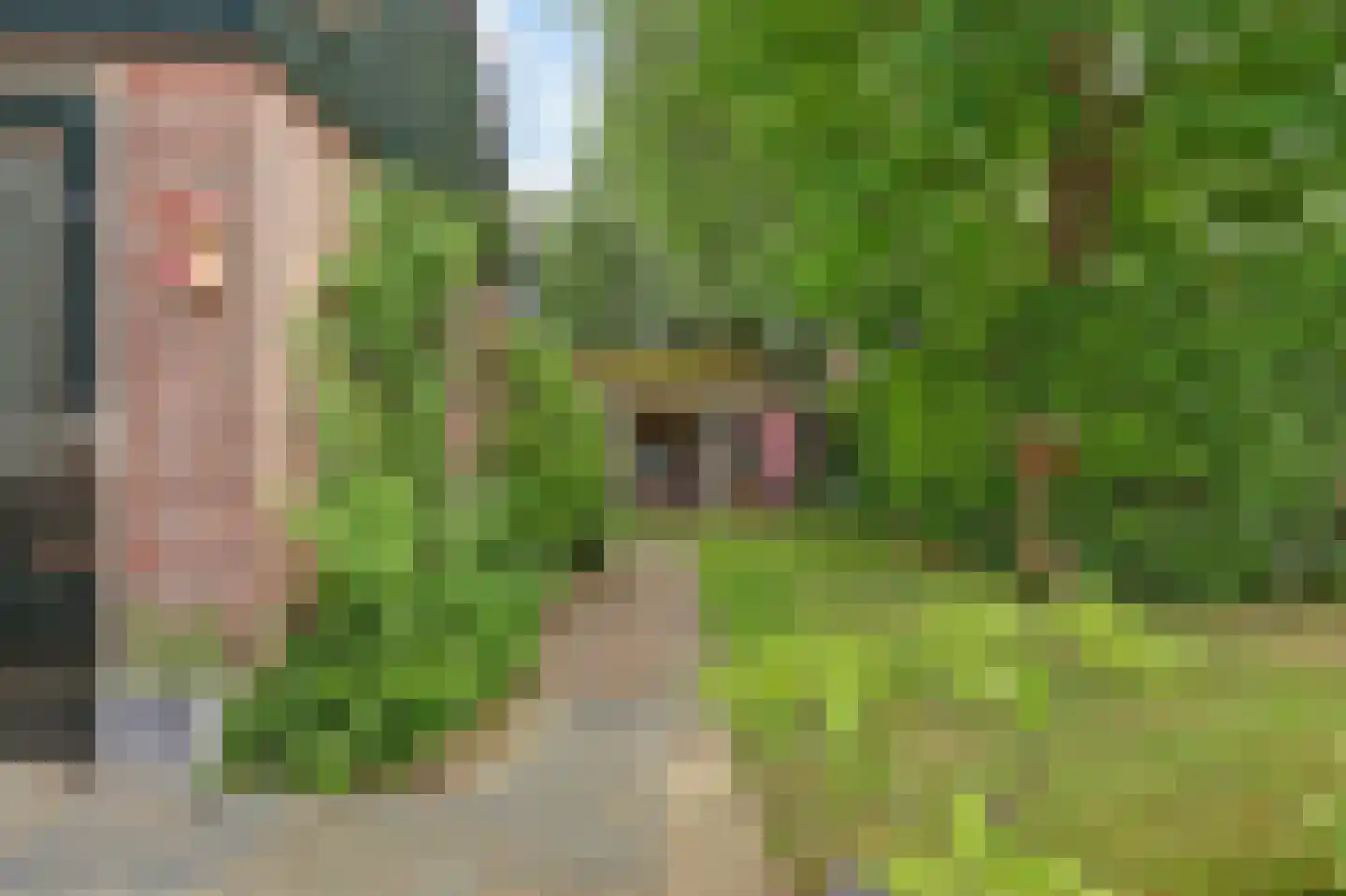 Pelikaan 4 Nieuwegein thumbnail 17