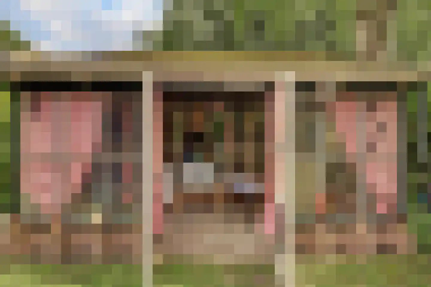 Pelikaan 4 Nieuwegein thumbnail 18