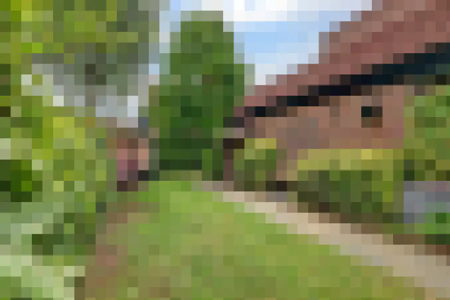 Pelikaan 4 Nieuwegein thumbnail 20