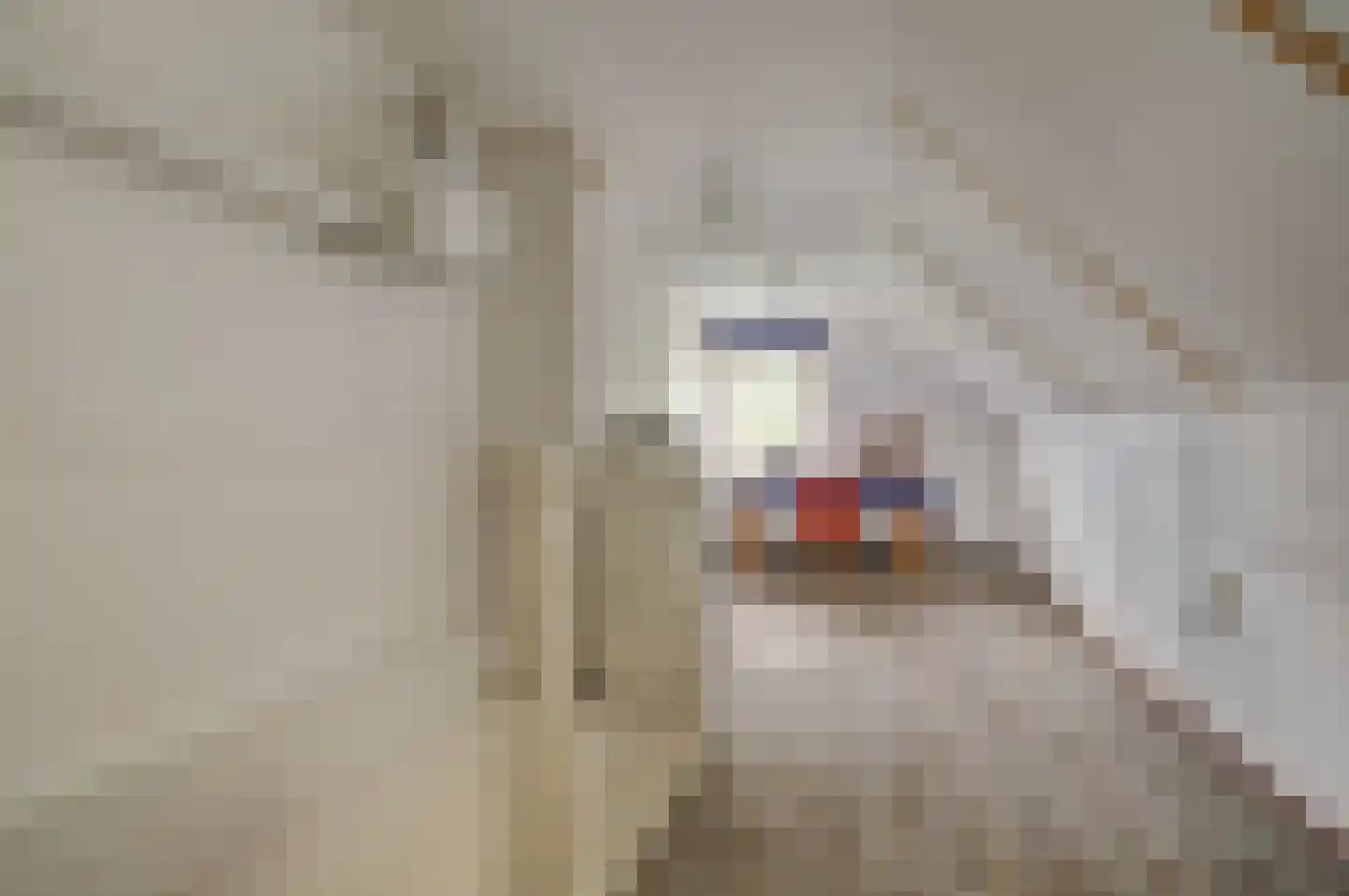 Pelikaan 4 Nieuwegein thumbnail 36