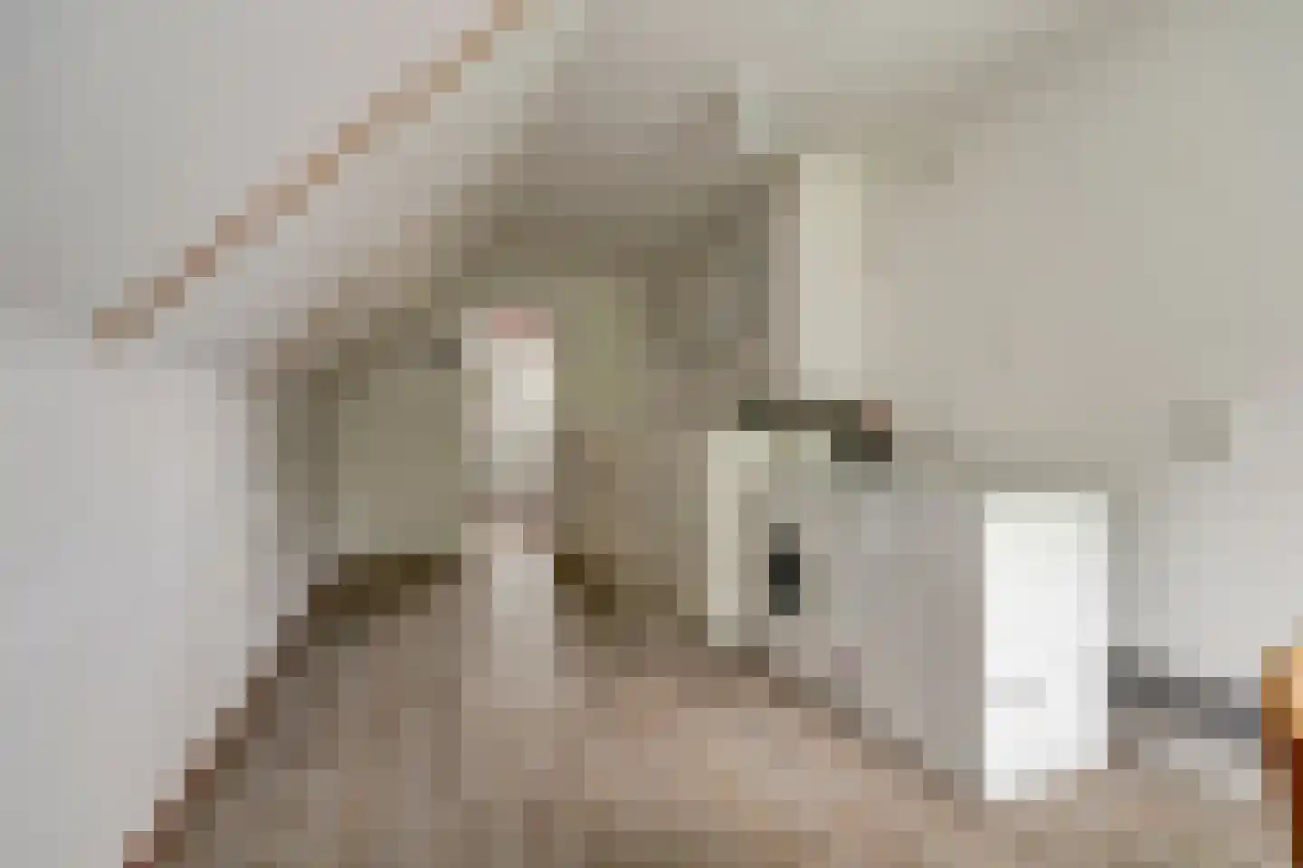 Pelikaan 4 Nieuwegein thumbnail 38