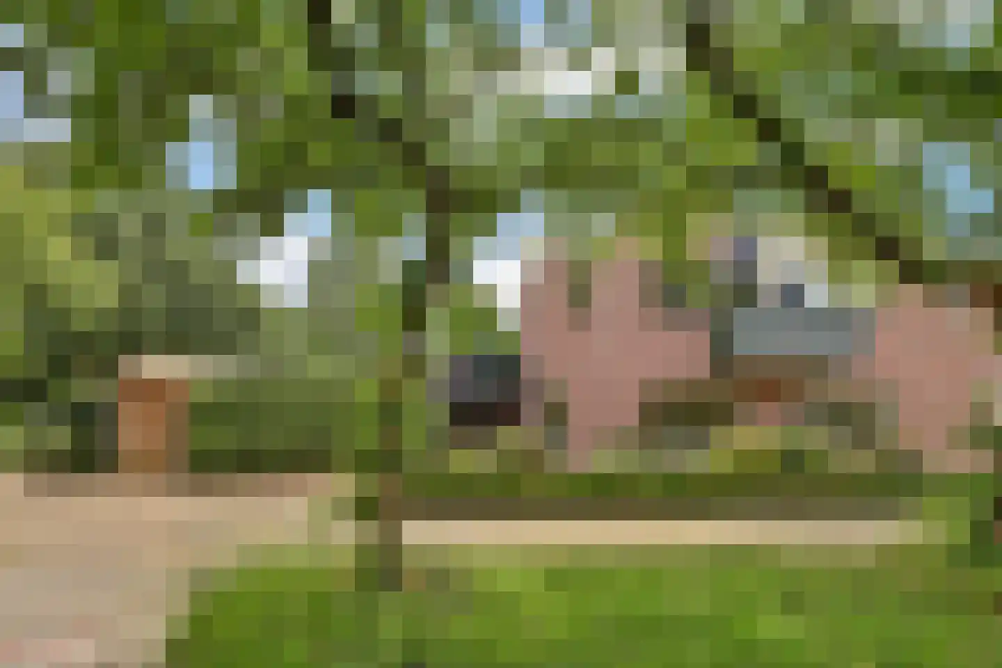 Pelikaan 4 Nieuwegein thumbnail 44