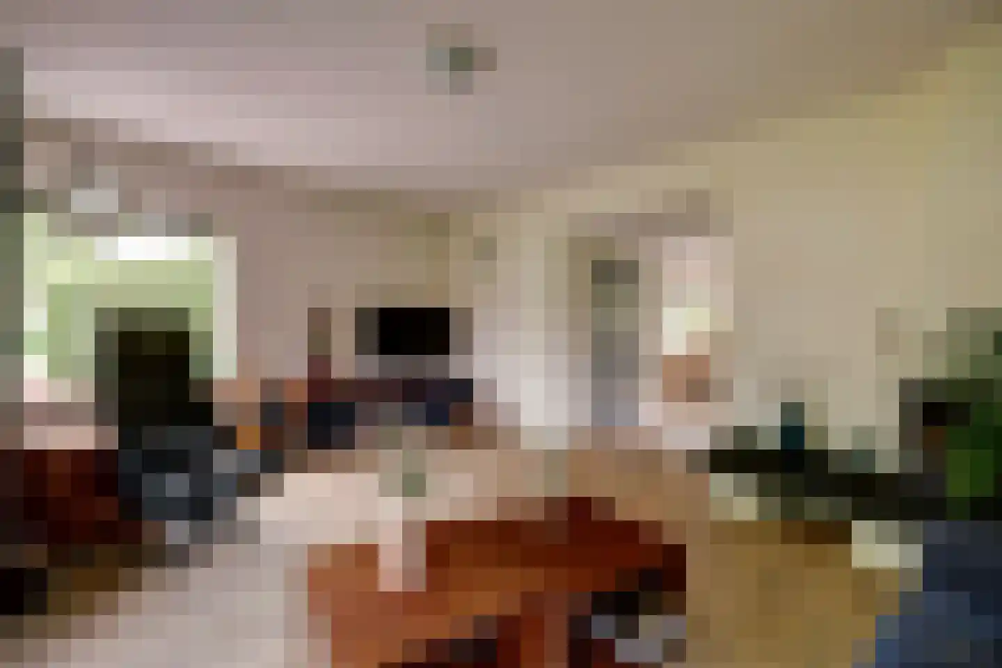 Pelikaan 4 Nieuwegein thumbnail 5