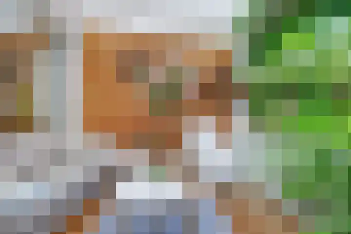 Pelikaan 46 Ridderkerk thumbnail 10
