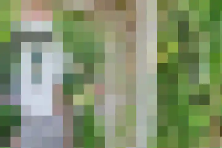 Pelikaan 46 Ridderkerk thumbnail 14